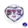 Barbwire Heart Htx